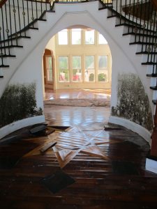 Mold remediation of mold growth on a residential wall