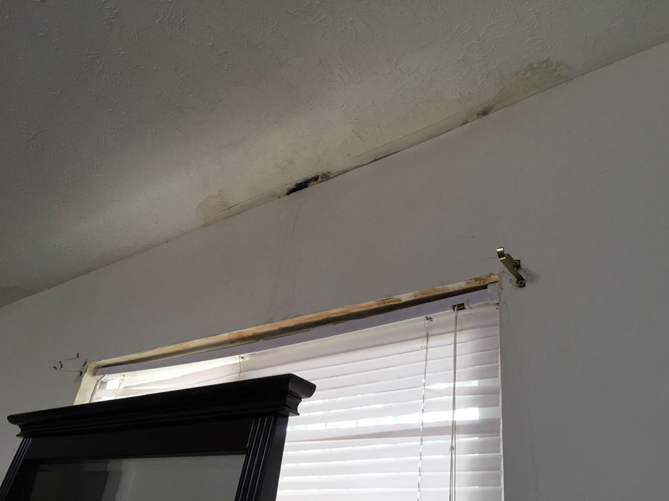 Roof leak water damage and mold on a ceiling