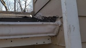 Storm damage in Kennesaw: tree damage to a gutter