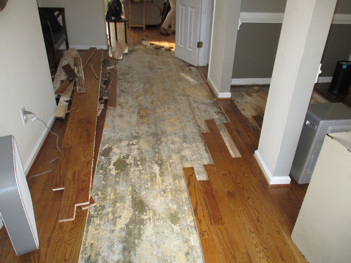 Water Damage Restoration