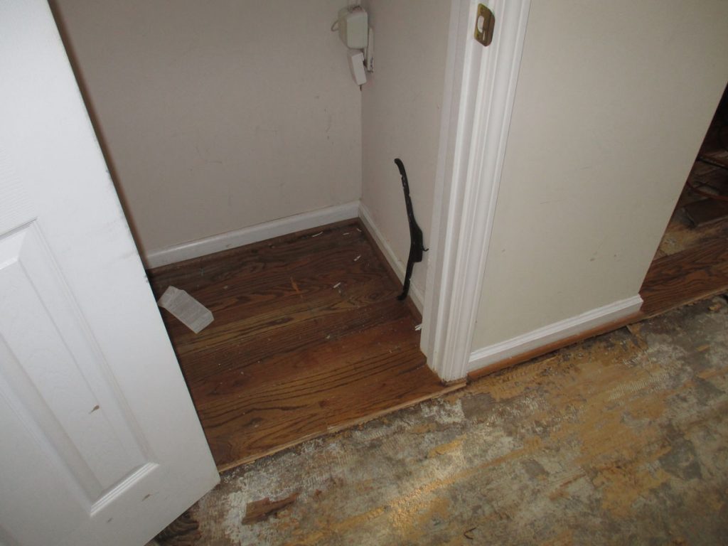 Musty smell in house: closet corner with hardwood floor edge cut away beside exposed subfloor and a doorframe