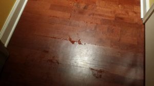 Water damage remediation for water coming up through a floor