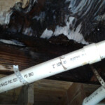 Mold shower pan leak