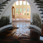 Residential mold
