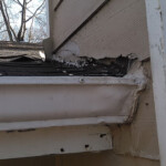 Tree damage to gutter